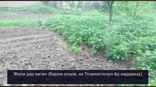 Жола дар ватан Барои онҳое ки Тоҷикистонро ёд кардаанд