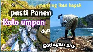 Jenis ikan yang paling mudah di pancing di laut