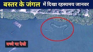 5 रहस्यमय जानवर जिन्हें छत्तीसगढ़ में पहली बार देखा गया  Mysterious Animals in Chhattisgath