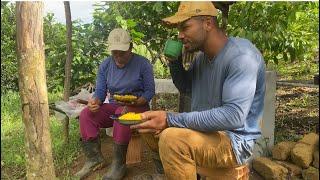 Café da manhã maravilhoso no sítio . Plantando colhendo e tomando um cafezinho no sítio…