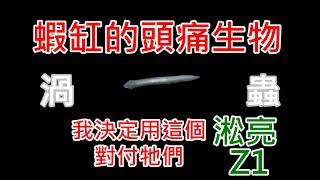 輕鬆除渦蟲  藍絲絨被渦蟲攻擊而減少嗎?  淞亮 Z1 上  SL AQUA Aquarium Bio Protector clean planarian and hydra quickly