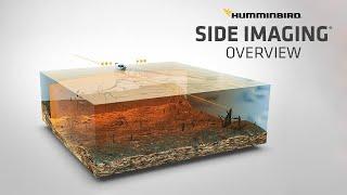 What is Side Imaging and How to Read It  Humminbird