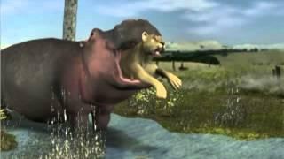 Hippo swallows a lion   realistic Animation