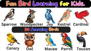 Fun Bird Learning for Kids 50 Amazing Birds Educational Video for Children Fun Learning Journey