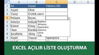 Excel Hücre İçine Açılır Liste Kutusu Ekleme