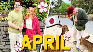 WE WENT TO JAPAN - April 2024 Vlog