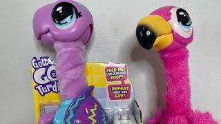 New Gotta Go Turdle Unboxing Little Live Pooping Toilet Toy #gottagoflamingo #gottagoturdle