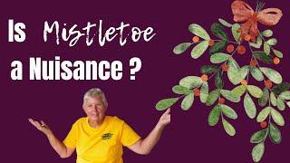 Is Mistletoe a Nuisance?