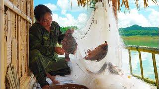 Fishing Animal Care Bamboo Shoot Harvesting Rustic Cooking River Survival  EP.376