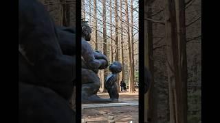 Nami Island - March 10 2024 - reel 2