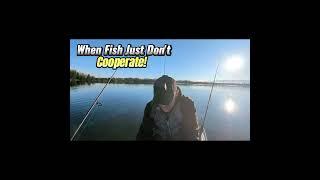 Uncooperative fish spills my lures #fishingvideo #fishing #fishingadventures #kayakfishing #fish