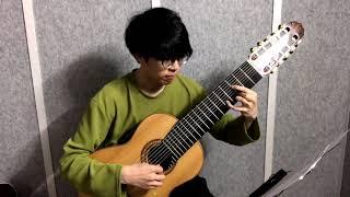 J.S.Bach - BWV 998 Prelude - 10 string guitar