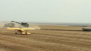 Day 12 83 - Highwood Montana Harvest