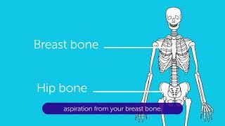What to expect when you have a Bone Marrow Test  Cancer Research UK