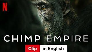 Chimp Empire Clip  Trailer in English  Netflix