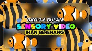 Tontonan Bayi 0 - 6 Bulan  Ikan Berenang Lucu Dan Menggemaskan