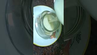 Homemade Condensed Milk in Tamil  Nestle Milkmaid  Condensed Milk  #shorts #yummy