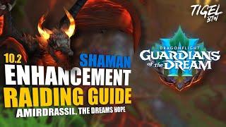 Enhancement Shaman 10.2 Raiding Guide  Amirdrassil the Dreams Hope