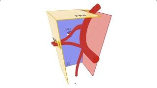 Pterygopalatine Fossa - Anatomy Contents and Borders