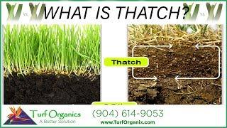 **WHAT IS THATCH IN YOUR LAWN???