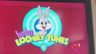 Baby looney tunes on discovery family 1-5-2023