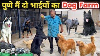 पुणे मै दो भाईयों का सपनों का Dog Farm  AYRO Farms  The Barking Mansion Pune #sandhuagrofarm