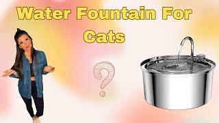 Quiet Pet Water Fountain Tomxcute Stainless Steel Fountain for Dogs and Cats