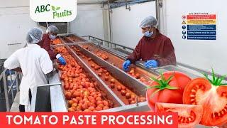 Tomato paste & puree manufacturing process  Tomato paste  Ketchup  ABC Fruits