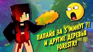 ПАПАЙЯ ЗА 5 МИНУТ ?  как быстро получить деревья из Forestry