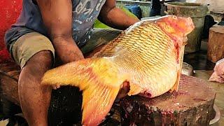 I Never Seen Giant Carp Fish Cutting Live In Fish Market  Fish Cutting Skills