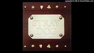 Stray Dog -Tramp How It Is