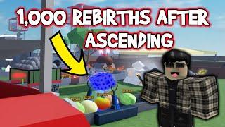 1000th Rebirth After Ascend in Gumball Factory Tycoon Roblox