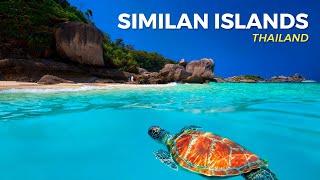 Similan Islands  Turtles and the most crystal-clear water in Thailand