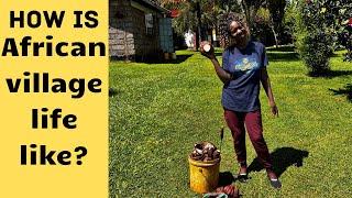 African Village Daily life   harvesting the most delicious food in Kenya 