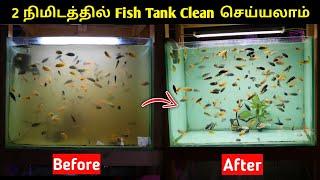 2 நிமிடத்தில் Fish Tank Clean செய்யலாம்  Easy Way To Clean Fish Tank  Cloning Aqua