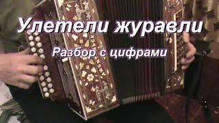 Улетели журавли гармонь А ты прости меня.