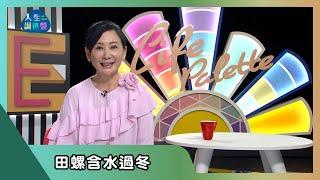 【亞蘭話俗語】EP120｜田螺含水過冬。