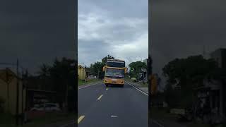 STORY WA BUS SATELQU 409 TERBARU 2024 #fypシ #fyp #shorts