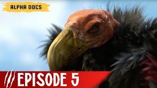 Bird Monster  Beast Legends  Episode 5  Full Documentary