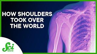 How Shoulders Took Over the World ft. Emily Graslie