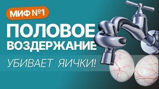 Половое воздержание и мужское здоровье. Миф #1 воздержание ухудшает работу яичек