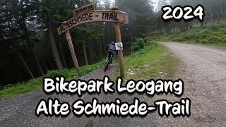 Alte Schmiede Trail Bikepark Leogang in the mud  RAW  Der Trailhunter