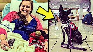 Woman Upset When Stranger’s Kid Smacks Her Service Dog She Respond Immediately