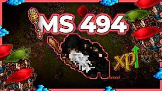 MS 494 Hunt Solo Gnomegate Fungus Dungeon Wz 1 7.2kkh Raw + 1.2kk Profit - Tibia Hunt 13.40