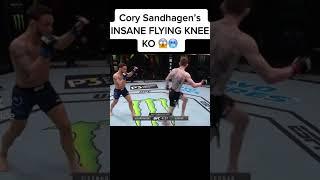 cory Sanhagen’s insane flying knee ko 