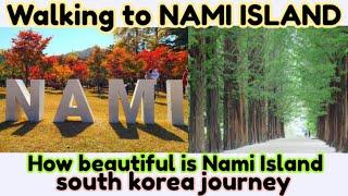 Walking to Nami Island South Korea  Nami Island isinya apa aja sih?