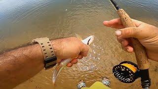 PESCANDO Y EXPLORANDO PLAYA DESIERTA. pesca urbana