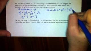 Hardy Weinberg Problem 4