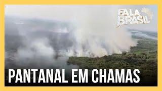 Incêndios no Pantanal Governo do Mato Grosso do Sul decreta situação de emergência