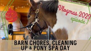 A Day in the Life Feeding & Grooming the Horses & Barn Chores EQUESTRIAN VLOGVlogmas 2023 • Ep 7